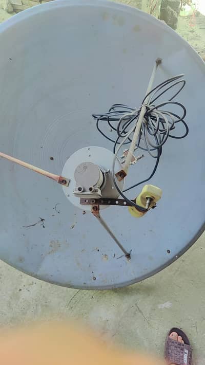 Dish for sale