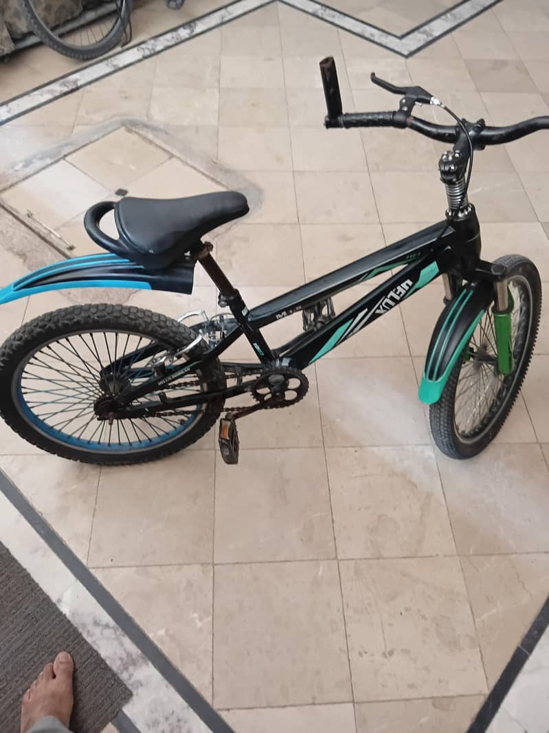 bicycle 1