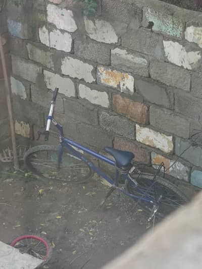 cycle