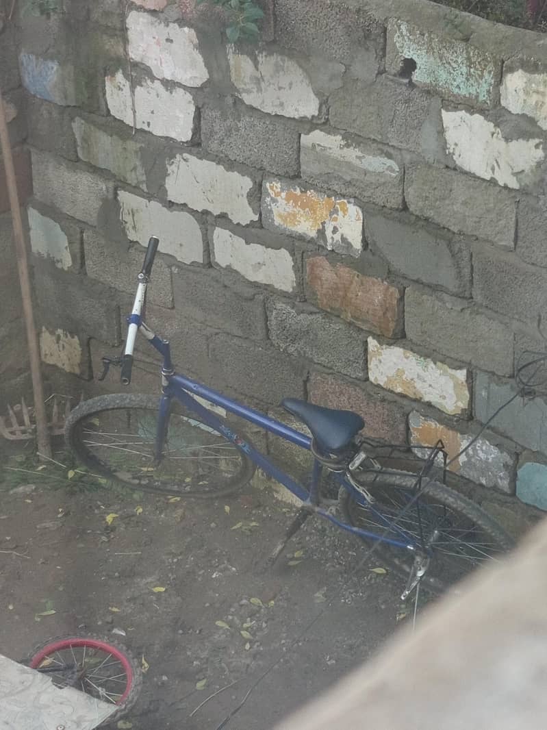 cycle 0