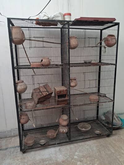 Birds Cage