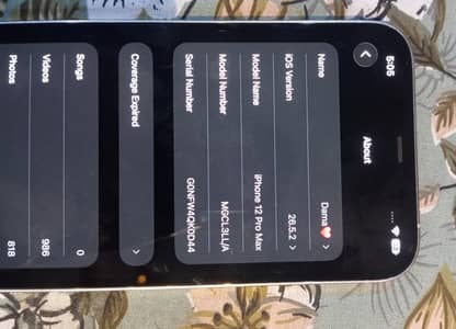 iPhone 12 pro max