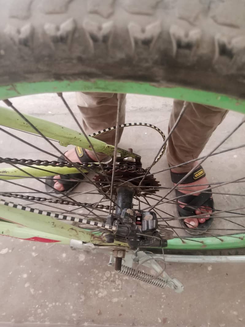 continental cycle 2