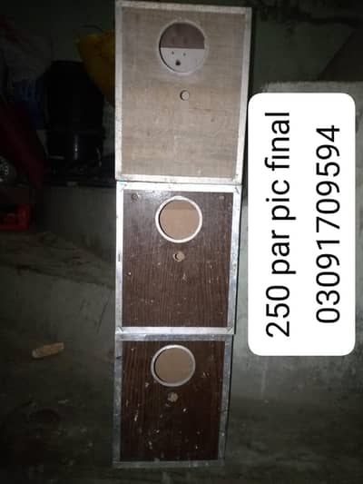 love birds box