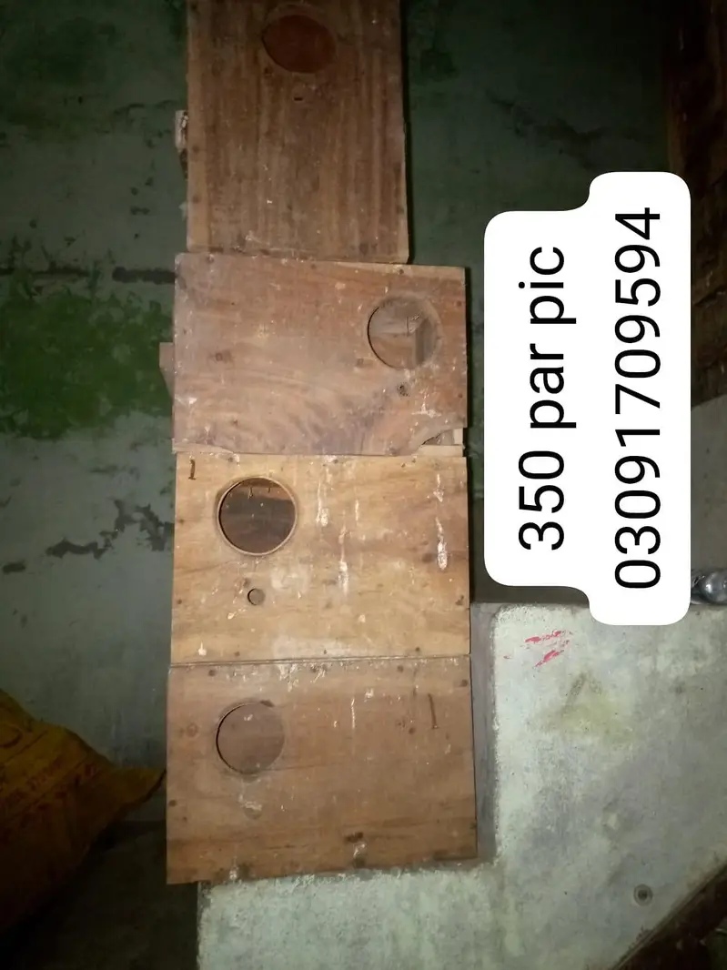 love birds box — photo 2