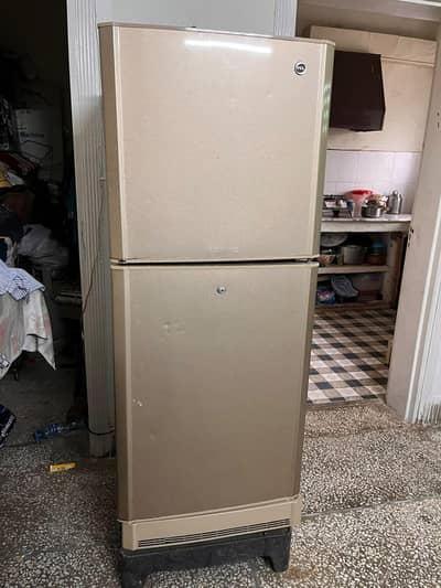 Pel Medium Fridge