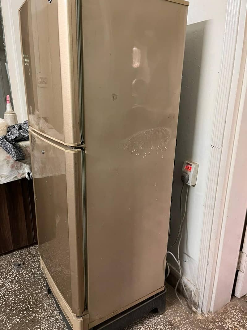 Pel Medium Fridge 1
