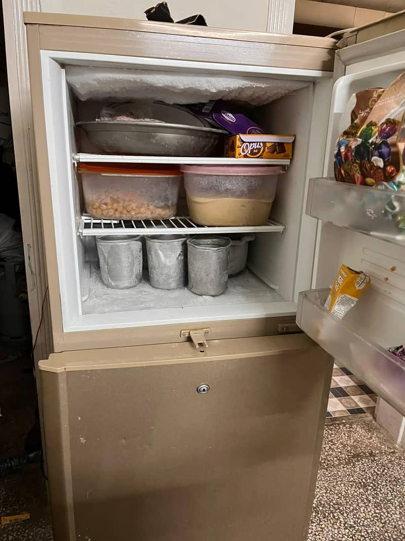Pel Medium Fridge 2