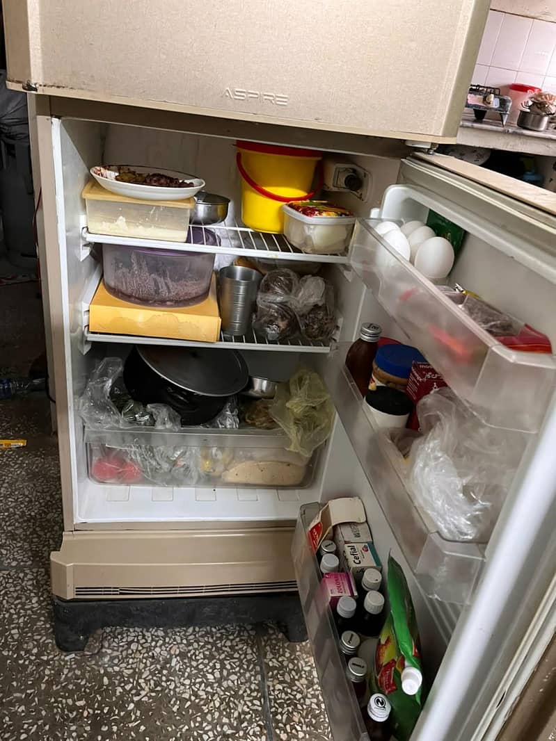 Pel Medium Fridge 3
