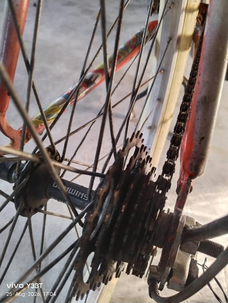 phoenix cycle 10/9 condition 6