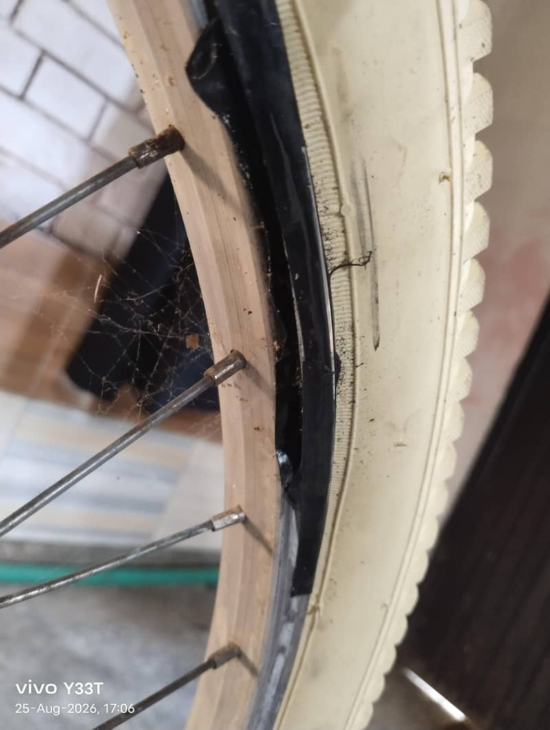 phoenix cycle 10/9 condition 8