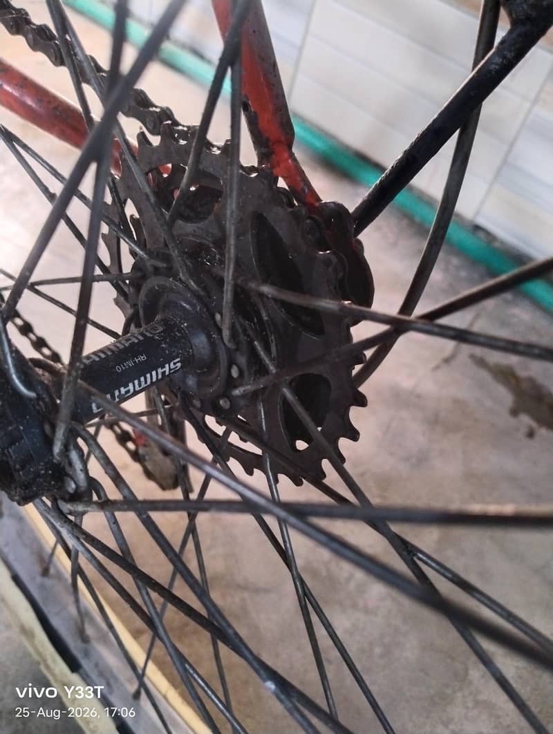 phoenix cycle 10/9 condition 10
