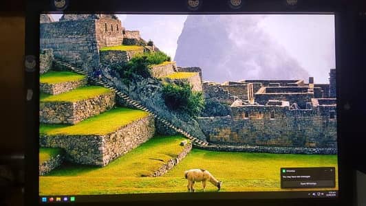 HP zr2440w monitor 1080p 24 inch