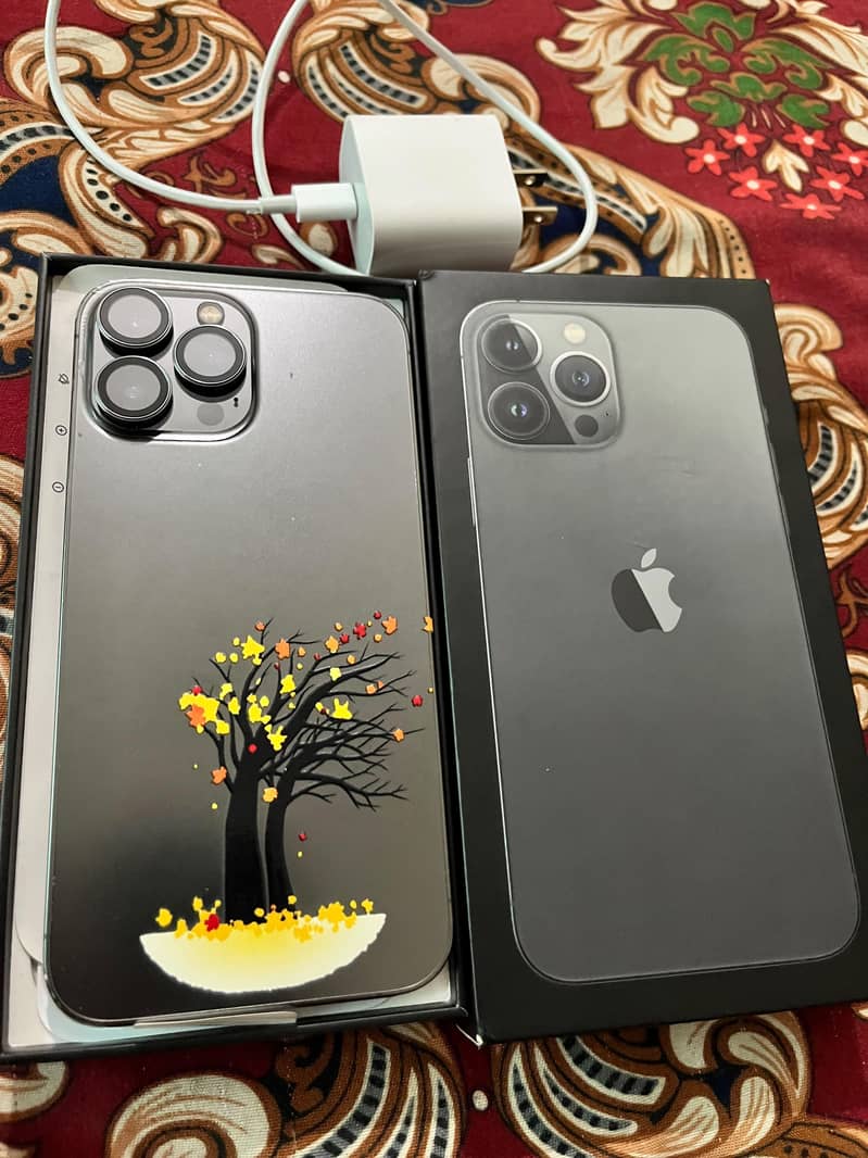 iPhone 13 Pro Max 0