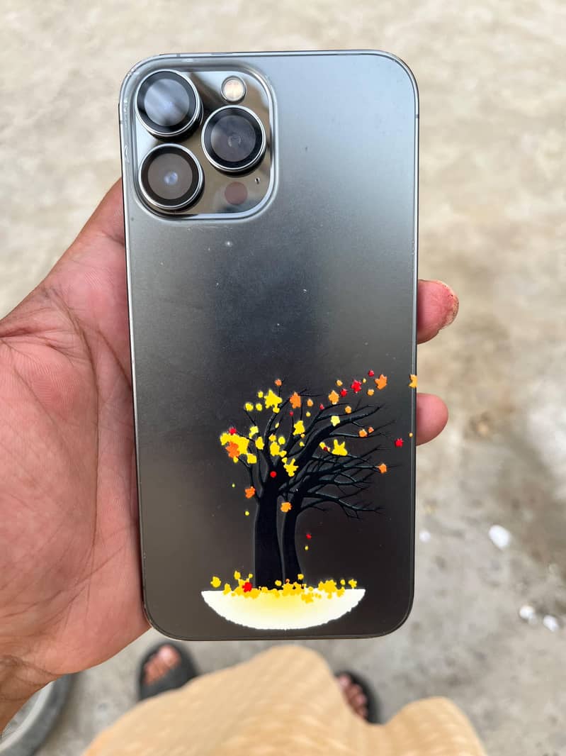 iPhone 13 Pro Max 2