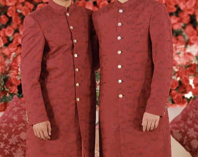 Embroidered cotton schiffli sherwani (Medium size)