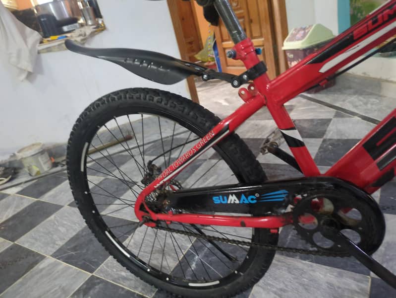 Sumac bicycle 0