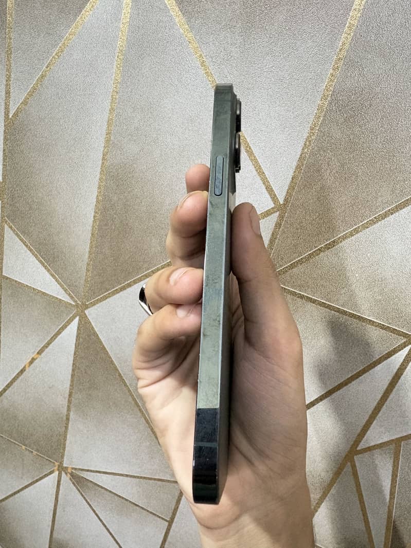 Apple iPhone 13 Pro Max 1
