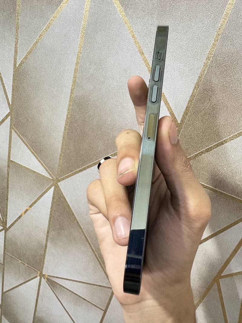Apple iPhone 13 Pro Max 4