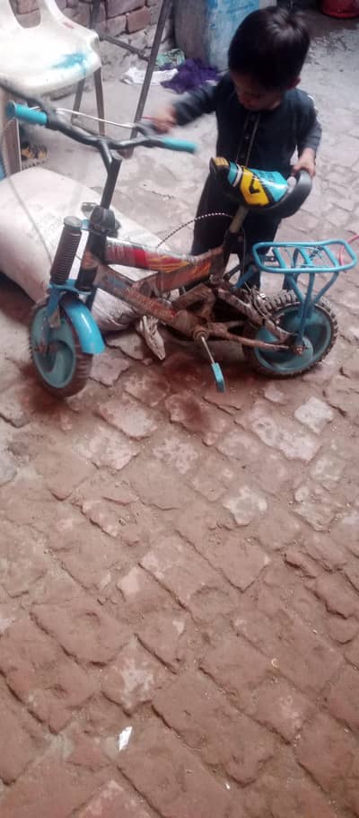 baby cycles