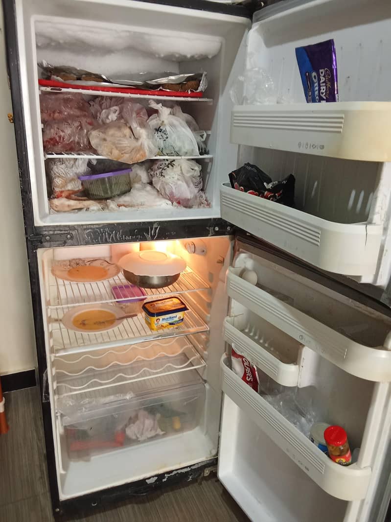 orient Refrigerator 2