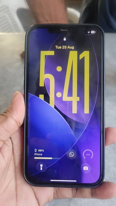 Apple iPhone 12 Pro Max
