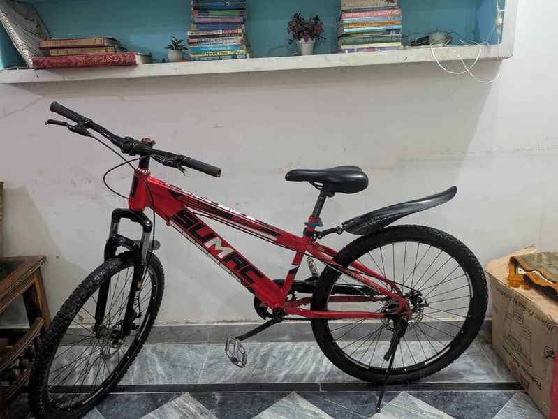 Sumac bicycle 1