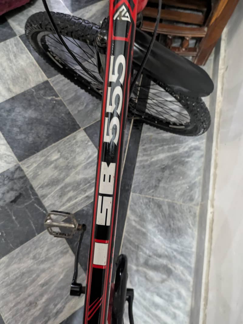 Sumac bicycle 2