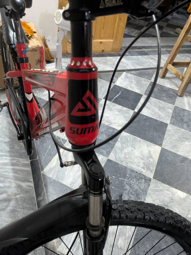 Sumac bicycle 3