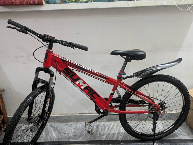 Sumac bicycle 10