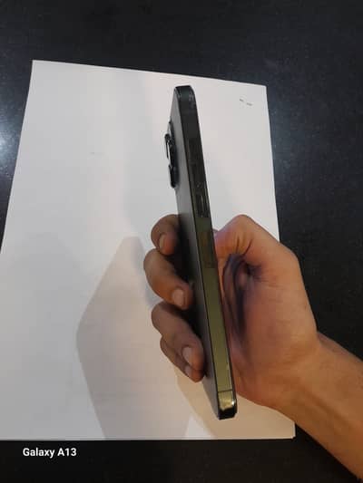 Apple iPhone 13 Pro Max