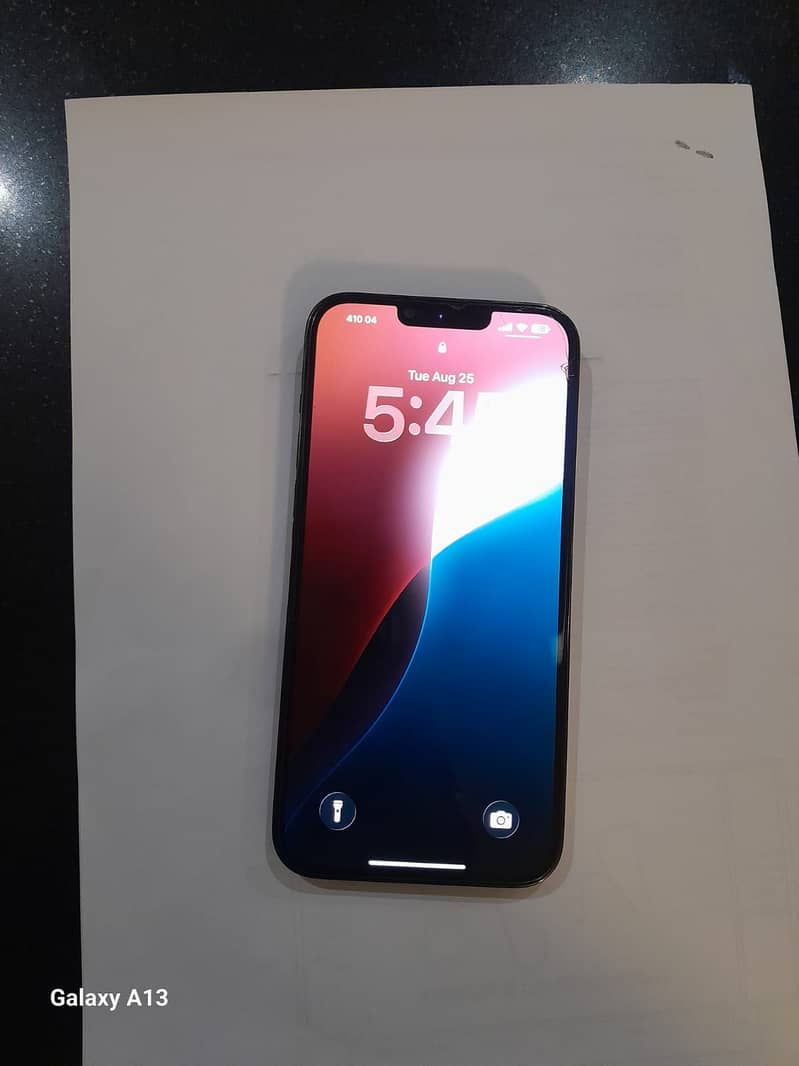 Apple iPhone 13 Pro Max 1