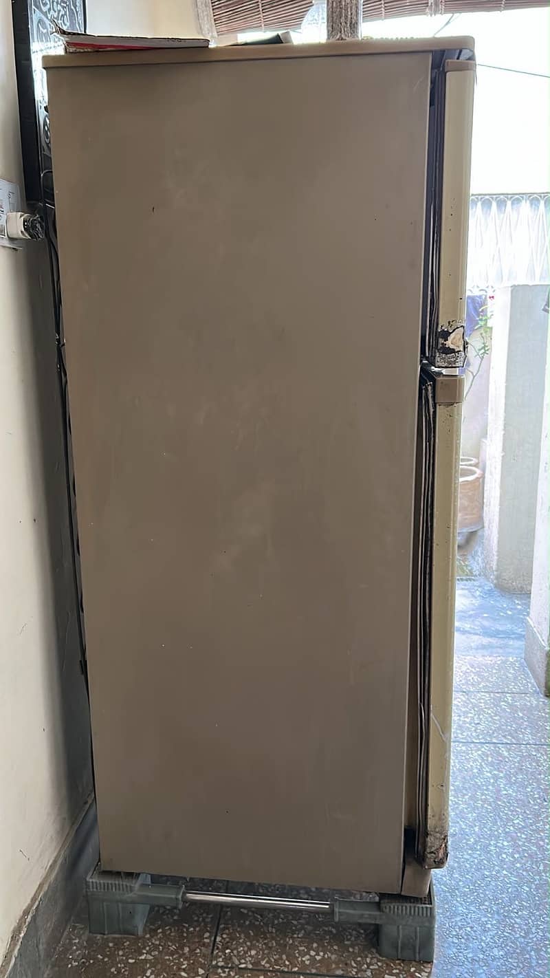 Waves fridge 1