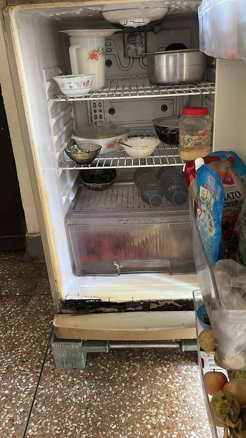 Waves fridge 2