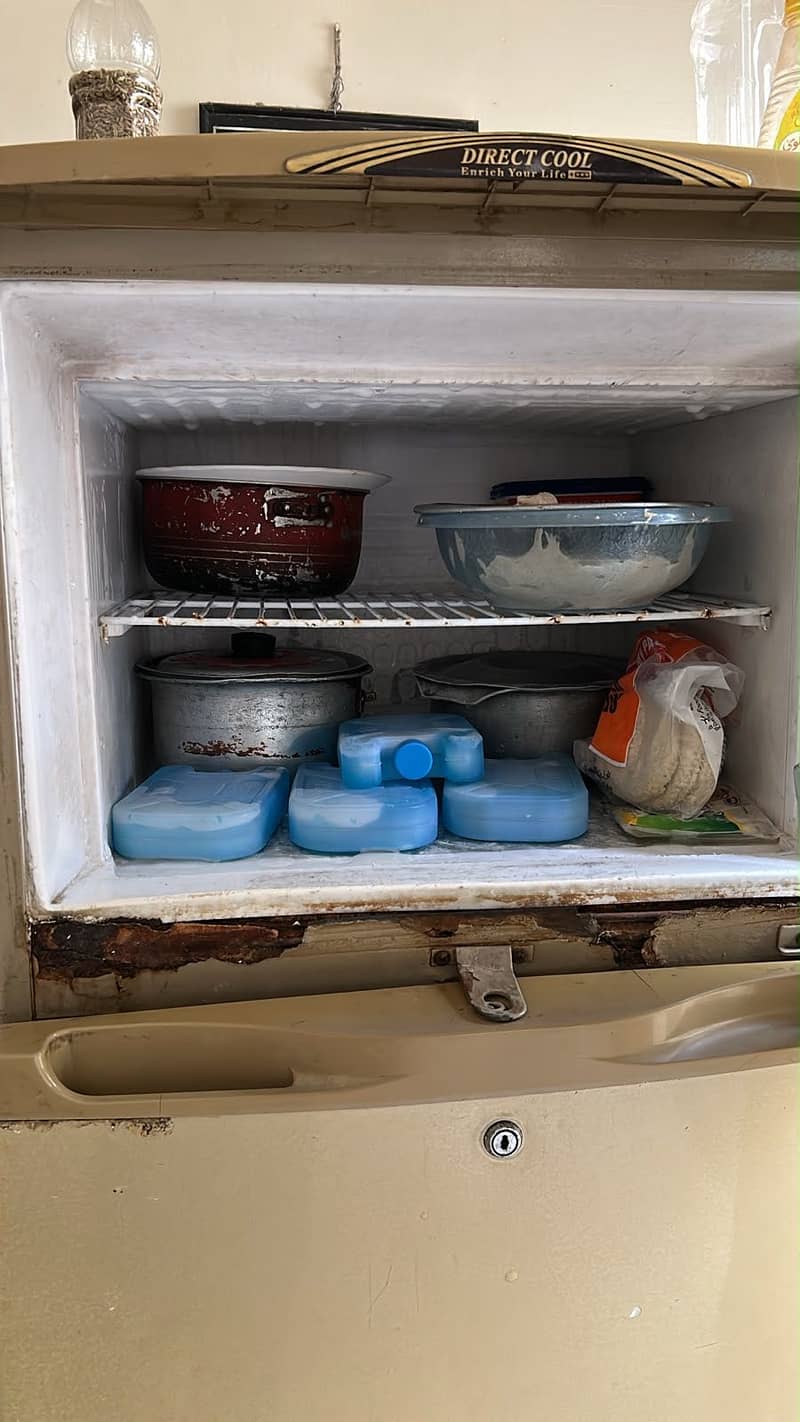 Waves fridge 3