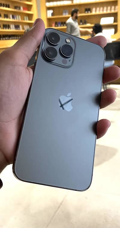 13 pro max