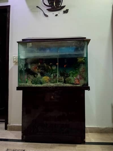 for sale