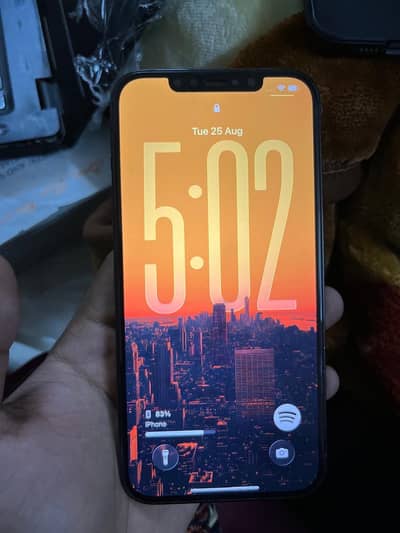 Apple iPhone 12 Pro Max