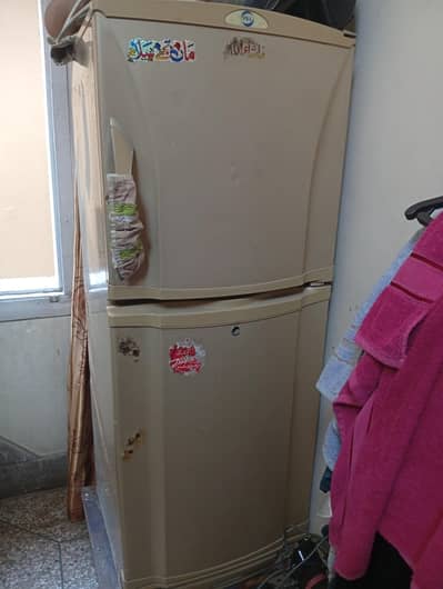 Pel fridge for sale in good condition