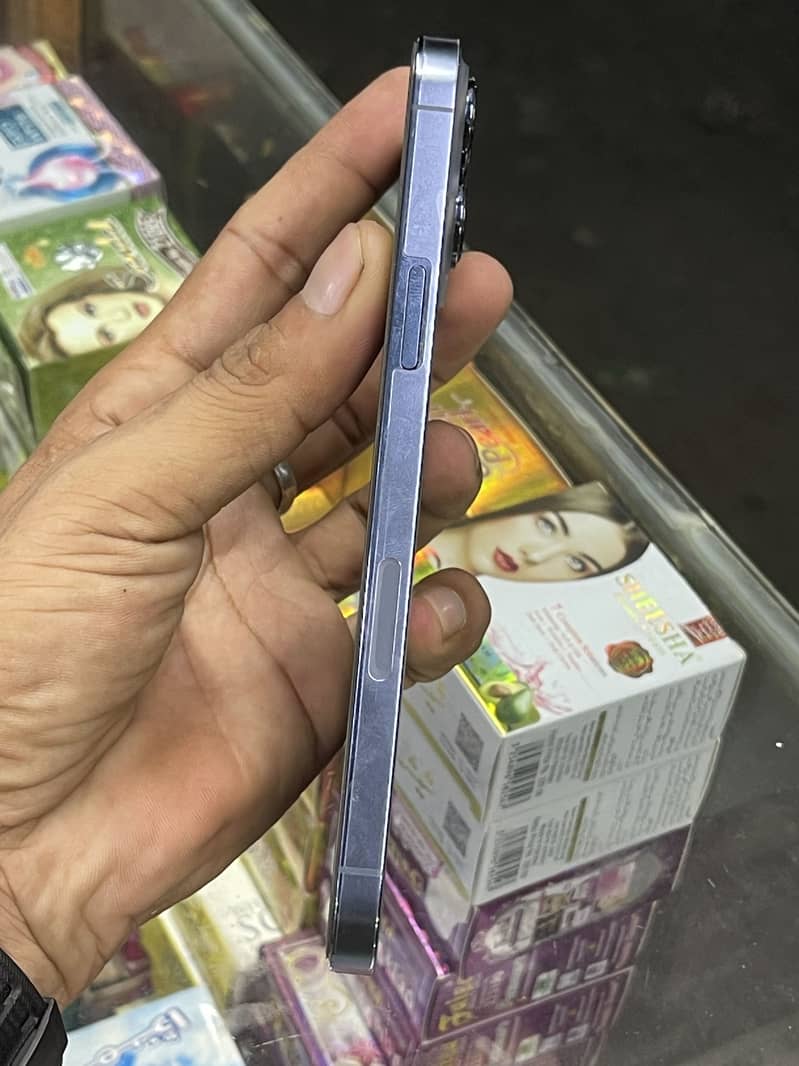 Apple iPhone 13 Pro Max 2