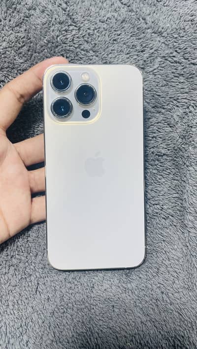 13Pro