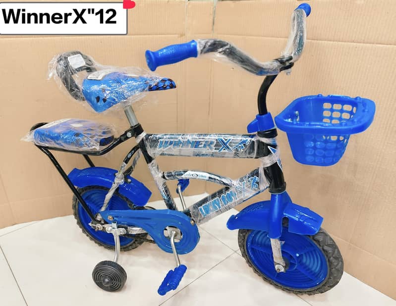 cycle 12inch 1