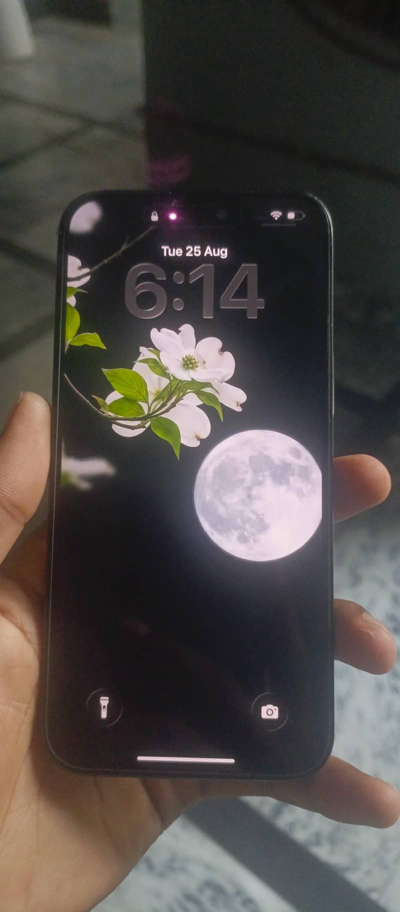 Apple iPhone 14 Pro Max 4