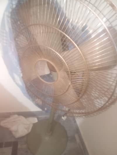 fan .