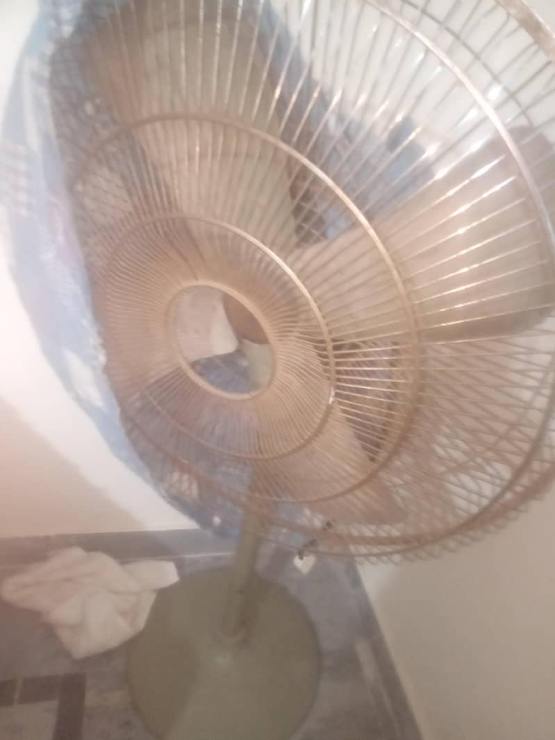 fan . 0
