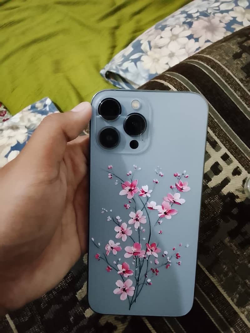 Apple iPhone 13 Pro Max 0
