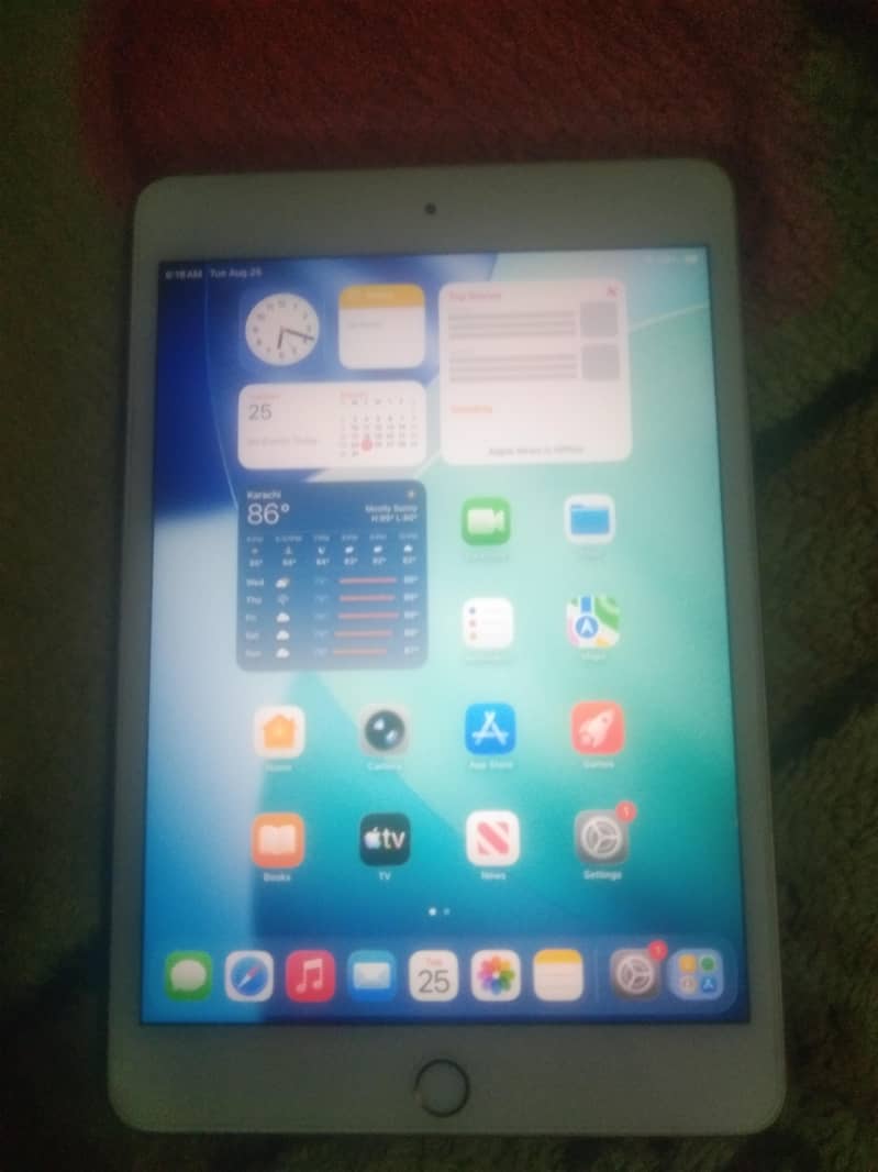 I pad mini 5 1