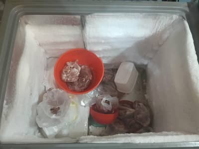 Deep freezer for sale
