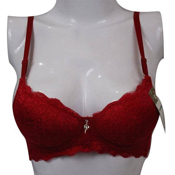 Stylish Padded Bra