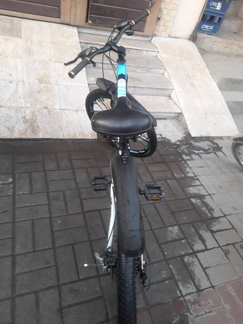 BEGOOD Bicycle 1